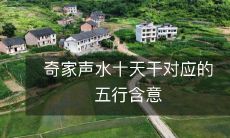 奇家声水十天干对应的五行含意