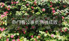 奇门看公事员测验成败