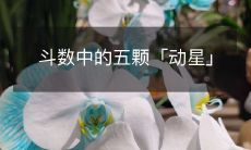 斗数中的五颗「动星」