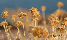 年柱无代表什么意思 八字中多柱为空有什么影响