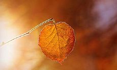 年月日三柱空亡必死 八字空亡怎么破