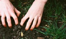 女人偷过人的脸部有什么特征 看这就知道