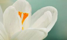 白事随份子的禁忌 礼钱注意事项