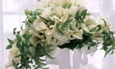 2023年3月19日嫁娶好不好 适不适合操力婚嫁之事