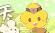 最有军人气质的星座