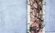 鸡血藤手镯佩戴禁忌 什么人不能戴