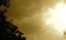 二月二龙抬头有什么讲究 风俗有哪些