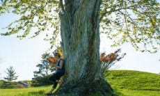 “春捂”的正确打开方式 春天需注意什么