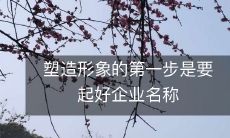 塑造形象的第一步是要起好企业名称