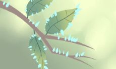 测测适合你的愚人节整人方法