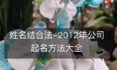 姓名结合法-2012年公司起名方法大全