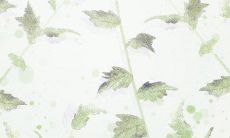 生活中你做傻事的几率有多大?