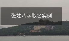 张姓八字取名实例