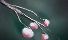 测你修几辈子福才遇见那个他