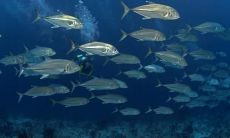 荣红芳姓名评分90分