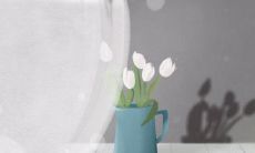 测一测你的嘴到底有多硬