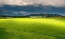 孟琼峰姓名评分74分