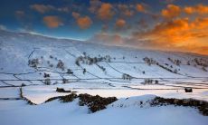 屈天杰姓名评分93分