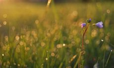 祁嘉豪姓名评分74分