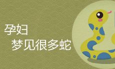 孕妇梦见很多蛇是好兆头吗
