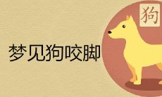 梦见狗咬脚是什么意思详解