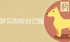 梦见狗咬自己腿预示着什么