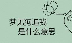 梦见狗追我是什么意思