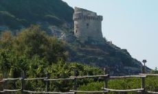 奚黎姗姓名评分99分