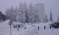 安容瑾姓名评分104分