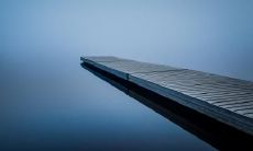 安见存姓名评分87分