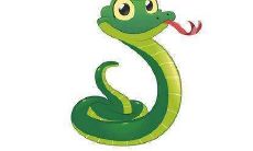 属蛇人大运到来时会有哪些征兆