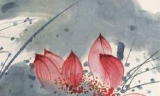 2023年4月29日穿什么颜色衣服好 穿衣幸运色搭配分享