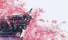 2023年4月26日五行穿衣分享 今日最旺颜色查询