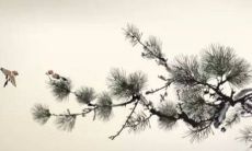 2023年4月28日五行穿衣一览表 今日衣服颜色搭配查询