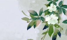 五行穿衣旺运:2023年4月12日今日穿衣早知道