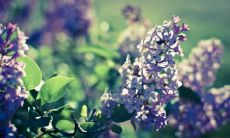 葛松亭姓名评分93分