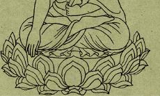 男兔女马在一起好不好 做夫妻婚姻幸福吗