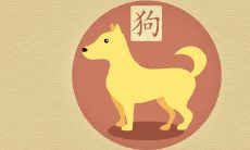 94狗和95猪八字合不 婚姻相配吗