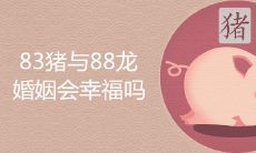 83猪与88龙的婚姻怎样幸福吗 哪年生宝宝最好