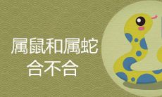 属鼠和属蛇的合不合 婚姻结局怎么样