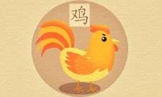 几月份的蛇可以跟虎配 相刑如何化解