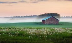 2023年大年初二出生是什么命 五行纳音金箔金