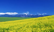 2023年大年初二生的孩子有什么说法 事业旺盛为人和善