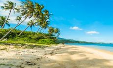 2023年正月初二生的男孩好吗 心地端正纯洁