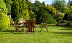 2023属兔的腊月出生好不好 家庭生活很幸福