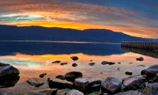 2023属兔腊月出生适合什么工作 适合医生职业