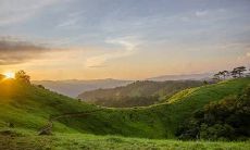 梅兰竹菊挂法风水禁忌