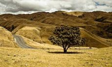 客厅风水财位挂什么风水画最好