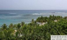 为什么要在家里放四根富贵竹 富贵竹的根数讲究