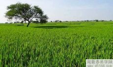 进门看见沙发好还是电视柜好 有什么需要注意的